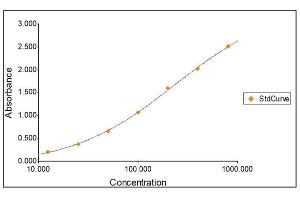 Standard Curve Graph (IgG Kit ELISA)