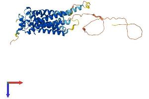 AlphaFold protein structure predicition of Mouse Recombinant S1pr5 Protein, UniprotID Q91X56