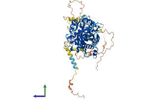 AlphaFold protein structure predicition of Mouse Recombinant Mtmr11 Protein, UniprotID Q3V1L6