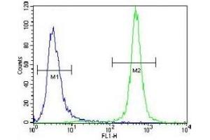 MST1 antibody flow cytometric analysis of NCI-H460 cells (green) compared to a negative control (blue).