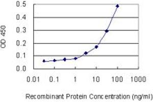 Detection limit for recombinant GST tagged SLC4A8 is 1 ng/ml as a capture antibody.