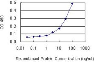 Detection limit for recombinant GST tagged SLC4A8 is 1 ng/ml as a capture antibody. (SLC4A8 anticorps  (AA 187-286))