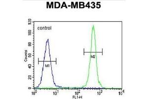 ALKBH6 Antibody (Center) flow cytometric analysis of MDA-MB435 cells (right histogram) compared to a negative control cell (left histogram).