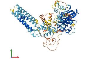 AlphaFold protein structure predicition of Mouse Recombinant Daglb Protein, UniprotID Q91WC9