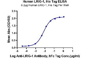 Immobilized Human LRIG1, His Tag at 2 μg/mL (100 μL/Well) on the plate.