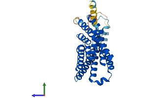 AlphaFold protein structure predicition of Mouse Recombinant Ffar3 Protein, UniprotID Q3UFD7