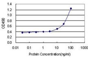 Sandwich ELISA detection sensitivity ranging from 3 ng/mL to 100 ng/mL. (POLD2 (Humain) Matched Antibody Pair)