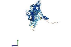 AlphaFold protein structure predicition of Human Recombinant ABCB9 Protein, UniprotID Q9NP78