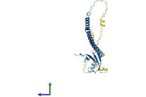 AlphaFold protein structure predicition of Human Recombinant UBXN8 Protein, UniprotID O00124