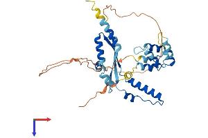 AlphaFold protein structure predicition of Mouse Recombinant Dedd2 Protein, UniprotID Q8QZV0
