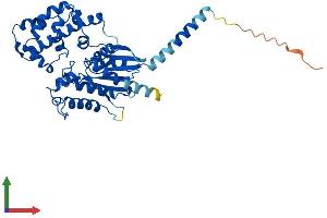 AlphaFold protein structure predicition of Mouse Recombinant Gna13 Protein, UniprotID P27601