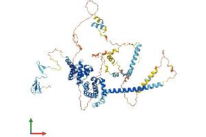 AlphaFold protein structure predicition of Human Recombinant BRF1 Protein, UniprotID Q92994