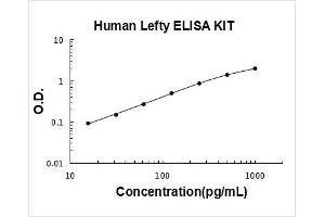 Left-Right Determination Factor 1 (LEFTY1) ELISA Kit