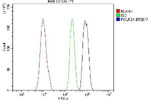 Flow Cytometry analysis of HL-60 cells using anti-POLR2A antibody (ABIN7599598). (POLR2A/RPB1 anticorps  (AA 10-321))