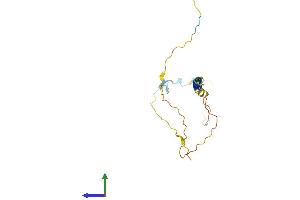 AlphaFold protein structure predicition of Mouse Recombinant Tnfrsf13c Protein, UniprotID Q9D8D0