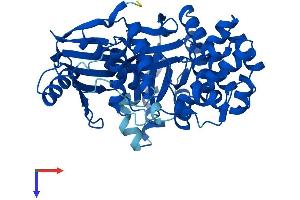 AlphaFold protein structure predicition of Mouse Recombinant Galk2 Protein, UniprotID Q68FH4