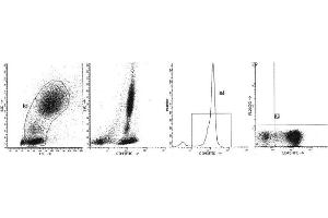 Image no. 1 for anti-Sialophorin (SPN) antibody (PE) (ABIN1106376) (CD43 anticorps  (PE))