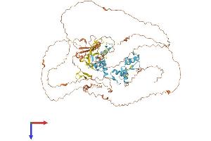 AlphaFold protein structure predicition of Mouse Recombinant Prdm4 Protein, UniprotID Q80V63