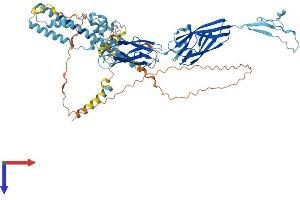 AlphaFold protein structure predicition of Mouse Recombinant Dlec1 Protein, UniprotID Q8BLA1