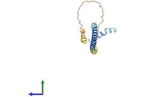 AlphaFold protein structure predicition of Human Recombinant DYDC2 Protein, UniprotID Q96IM9