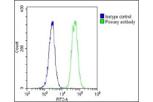 Overlay histogram showing U-2 OS cells stained with (ABIN657755 and ABIN2846737)(green line).