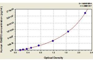 Typical Standard Curve (RAB10 Kit ELISA)
