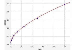 Typical standard curve (P4HA2 Kit ELISA)
