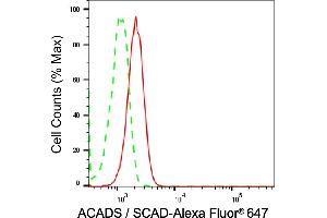 Flow cytometric analysis of Acyl-CoA dehydrogenase short chain expression in C2C12 cells using Acyl-CoA dehydrogenase short chain antibody (ABIN7797493), 1:2,000). (Recombinant Acyl Co-A Dehydrogenase (AIDB) (chain short) anticorps)