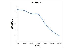 Antigen: 2 µg/100 µL  Primary: Antiserum, 1:500, 1:1000, 1:2000, 1:4000, 1:8000, 1:16000, 1:32000;  Secondary: HRP conjugated Rabbit Anti-Goat IgG at 1: 5000;  TMB staining Read the data in Microplate Reader by 450nm.