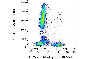Flow cytometry analysis (surface staining) of human peripheral blood cells with anti-human CD27 (LT27) PE-DyLight® 594. (CD27 anticorps  (PE-DyLight 594))
