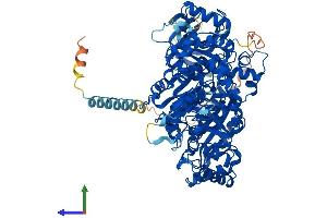 AlphaFold protein structure predicition of Human Recombinant NDST1 Protein, UniprotID P52848