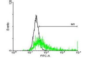 FACS analysis of negative control 293 cells (Black) and HLA-DRB3 expressing 293 cells (Green) using HLA-DRB3 purified MaxPab mouse polyclonal antibody.