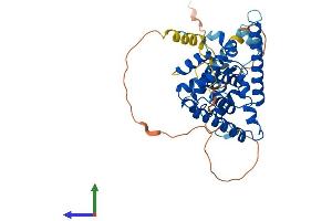 AlphaFold protein structure predicition of Mouse Recombinant Nr2e1 Protein, UniprotID Q64104