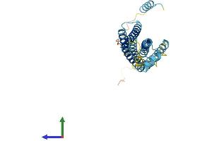 AlphaFold protein structure predicition of Human Recombinant STX11 Protein, UniprotID O75558