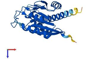 AlphaFold protein structure predicition of Mouse Recombinant Pgpep1 Protein, UniprotID Q9ESW8