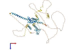 AlphaFold protein structure predicition of Mouse Recombinant Clasrp Protein, UniprotID Q8CFC7