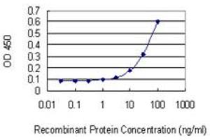 Detection limit for recombinant GST tagged MPP2 is 1 ng/ml as a capture antibody.