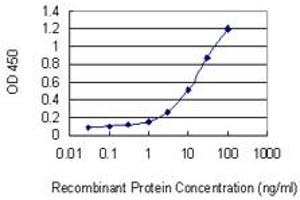 Detection limit for recombinant GST tagged WDFY3 is 0.