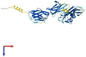 AlphaFold protein structure predicition of Mouse Recombinant Btnl2 Protein, UniprotID O70355
