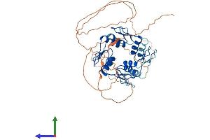 AlphaFold protein structure predicition of Human Recombinant ZNF239 Protein, UniprotID Q16600