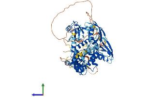 AlphaFold protein structure predicition of Human Recombinant DLG4 Protein, UniprotID P78352