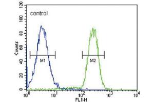 Flow Cytometry (FACS) image for anti-Hydroxysteroid (17-Beta) Dehydrogenase 2 (HSD17B2) antibody (ABIN3002244) (HSD17B2 anticorps)