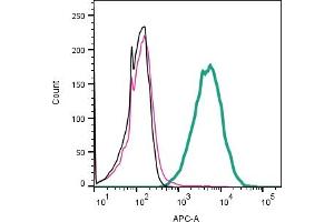 anti-Plexin A2 (Plxna2) (AA 205-218), (Extracellular) antibody
