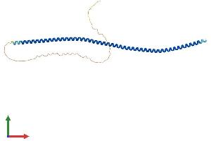AlphaFold protein structure predicition of Mouse Recombinant Sycp3 Protein, UniprotID P70281