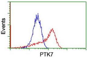 HEK293T cells transfected with either RC223416 overexpress plasmid (Red) or empty vector control plasmid (Blue) were immunostained by anti-PTK7 antibody (ABIN2455287), and then analyzed by flow cytometry. (PTK7 anticorps)