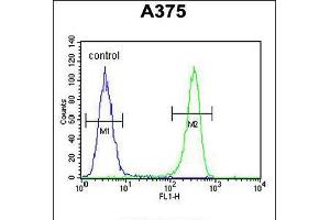Flow cytometric analysis of A375 cells (right histogram) compared to a negative control cell (left histogram).