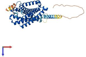 Cannabinoid Receptor 2 (CNR2) (AA 1-360) protein (His tag)