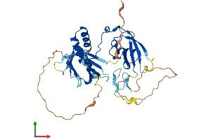 AlphaFold protein structure predicition of Mouse Recombinant Sharpin Protein, UniprotID Q91WA6
