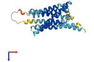 AlphaFold protein structure predicition of Mouse Recombinant Tas2r4 Protein, UniprotID Q9JKT3