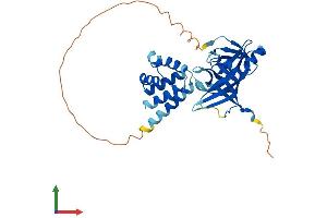 AlphaFold protein structure predicition of Mouse Recombinant Aim2 Protein, UniprotID Q91VJ1